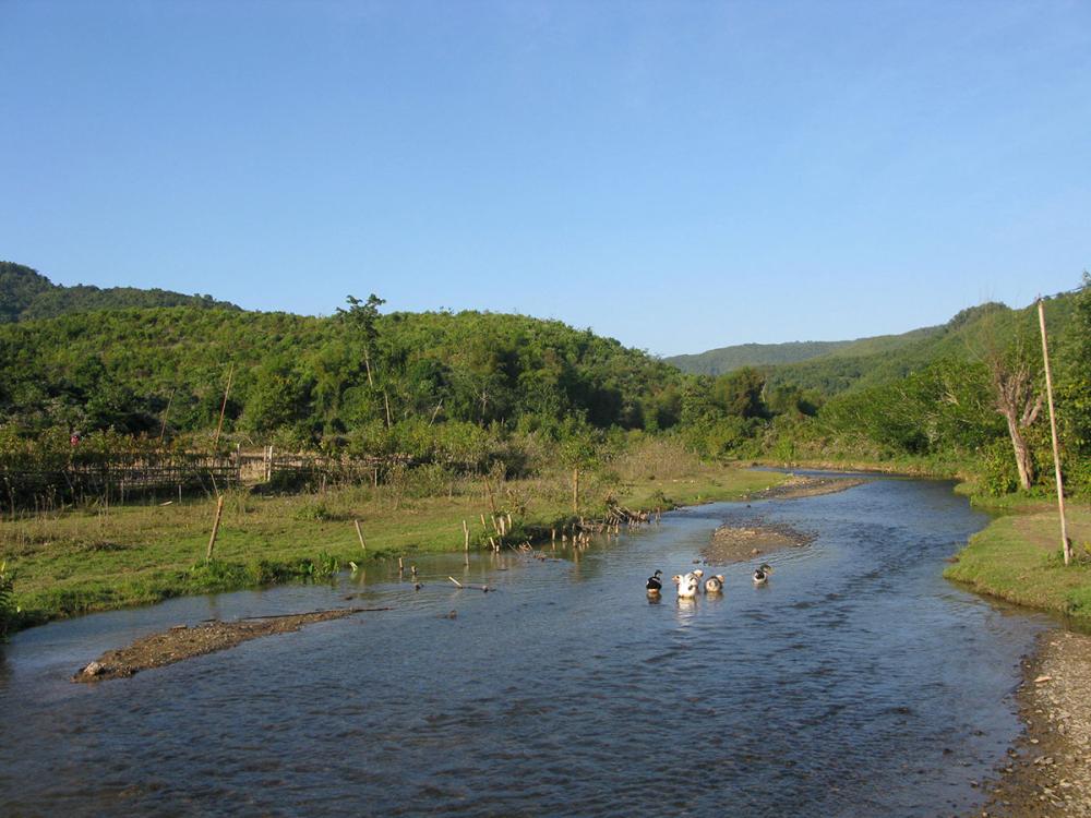 The river where to swim, to wash