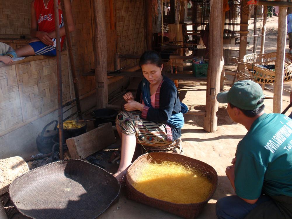 Weaving village of Ban Sopjam, some 100% homemade