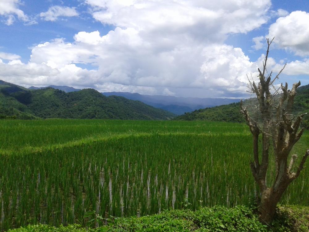 Paysages autour de Xieng Khouang