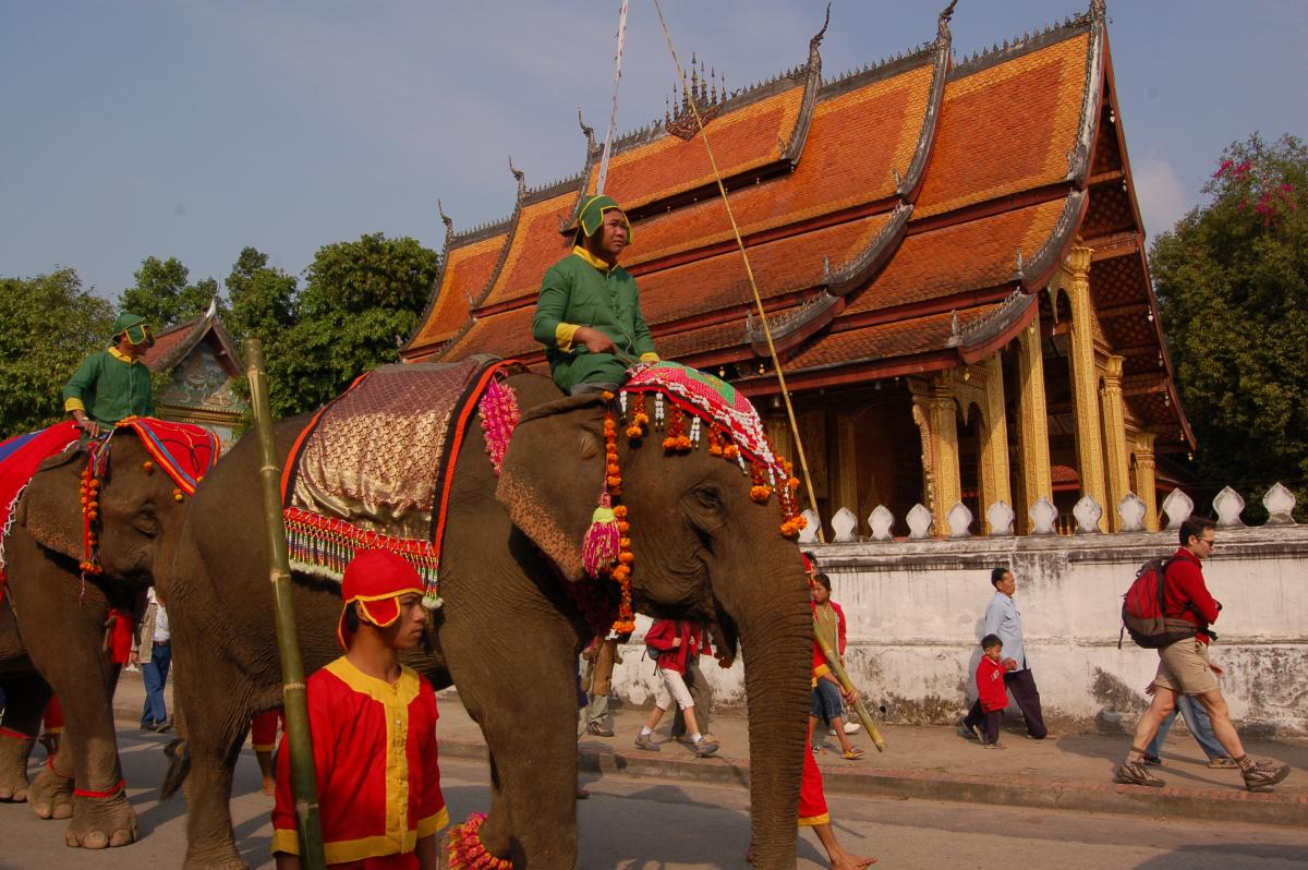 Défilé d'éléphants durant la procession de mars