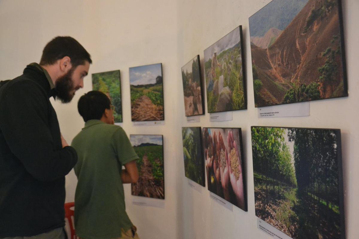 Expositions à l'Institut Français de Luang Prabang