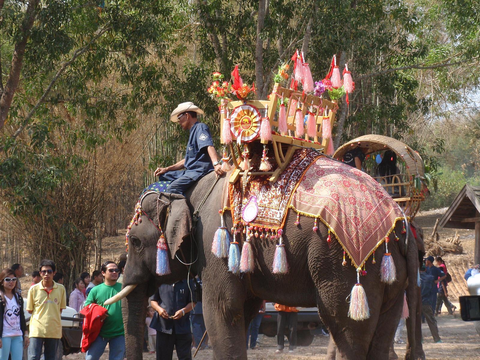 The Elephant Festival in 2010 The Elephant Festival in 2010