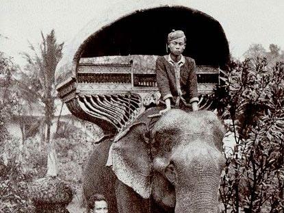 Old postal card of a royal elephant