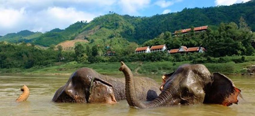 The elephant camp at Pakbeng - Northern Laos