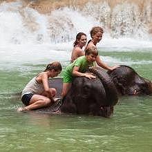 Elephant activities on Tad Sae Waterfalls