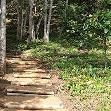 Paths through jungle and forest in a protected area