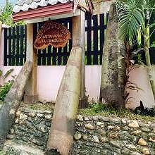 Guesthouse in Muang Ngoi with special local decoration