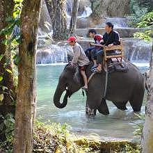 Tad Sae Waterfalls, 25km from Luang Prabang ceter