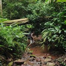 Discover the jungle life of Northern-Laos