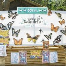 Entry of the Butterfly farm