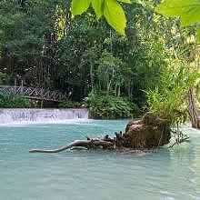 A preserved nature in the Kuang Si waterfall park