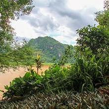View from the Botanical Garden