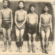 Méos (Hmong) blancs