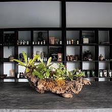Shop at the Luang Prabang Botanical Garden 