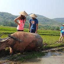 Living Land : an organic farm on the ricefield