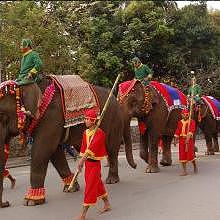 Elephant parade in Luang Prabang