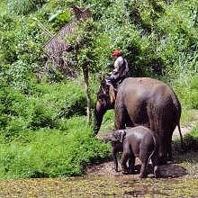 A family walking through the bank of the lac of Sayaboury