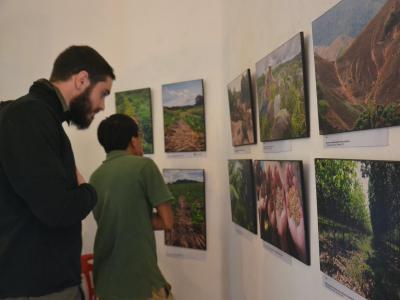 Expositions à l'Institut Français de Luang Prabang